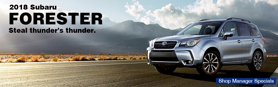 forester.jpg
