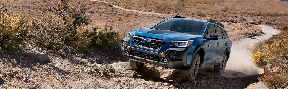 Outback