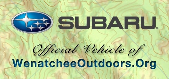 WOSub spons logo shadow.JPG