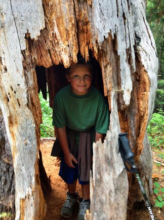 Taden Tree.jpg