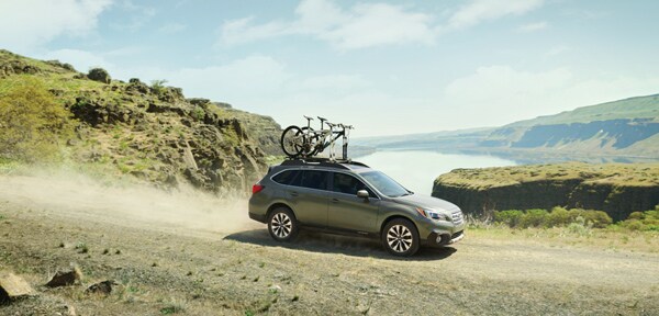 Outback on dirt road.jpg