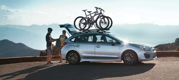 MountainBikingWithSubaruIma.gif