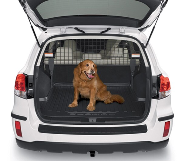 DogCargo1.jpg