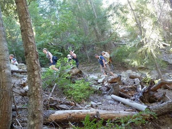 Silver Falls trail.jpg