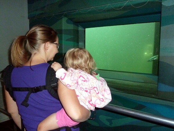 Rocky Reach fish ladder.jpg