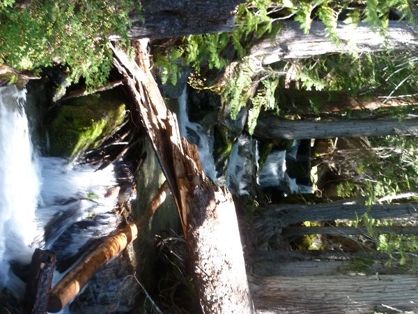 Silver Falls.jpg