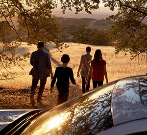 Subaru family.jpg