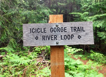 Icicle trail sign.jpg