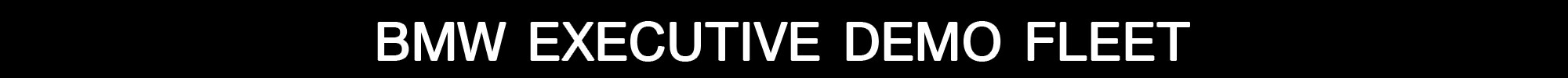 BMW Exec Thin Banner.jpg
