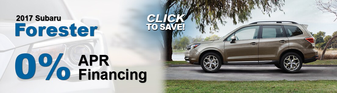 Forester Banner 717.jpg
