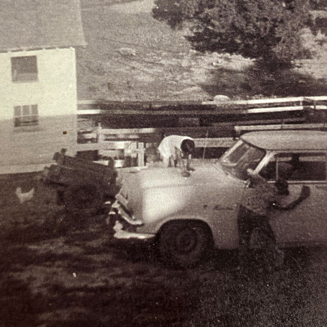 Harvey and Echo with a car.jpg