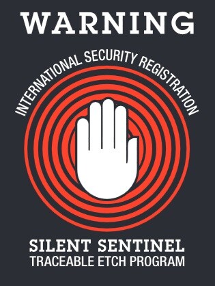 Silent Sentinel.jpg