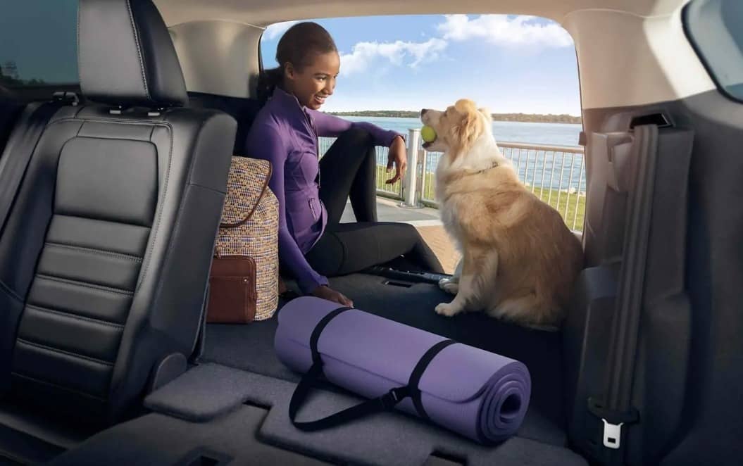 woman sits in rear of 2019 Ford Escape with dog