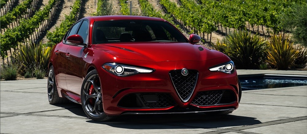 Giulia (2).jpg
