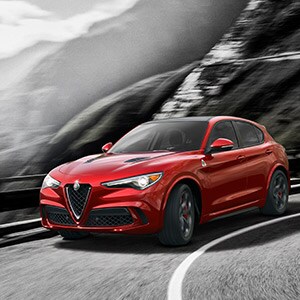 Alfa Romeo Stelvio Alfa Romeo Stelvio