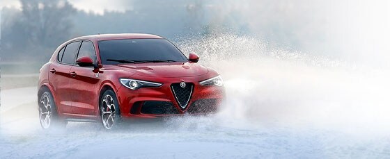 arv-20211008-560x229-special-winter-special.jpg
