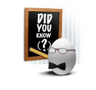 Bow Mel Did You Know