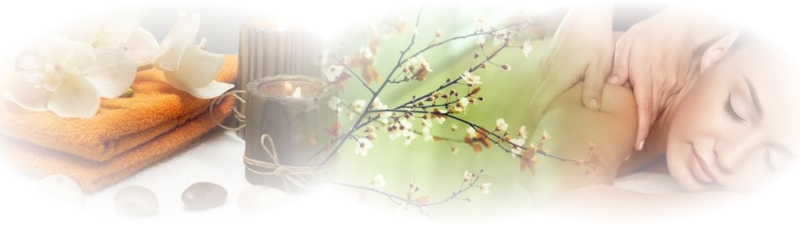 homepackagebanner.png