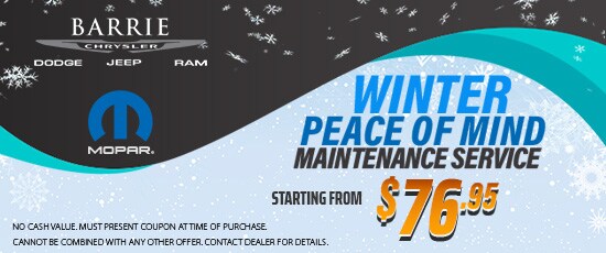 Winter-Peace-of-mind-maintenance-service2.jpg