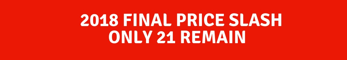BIGGEST SALE OF THE YEAR (1).png