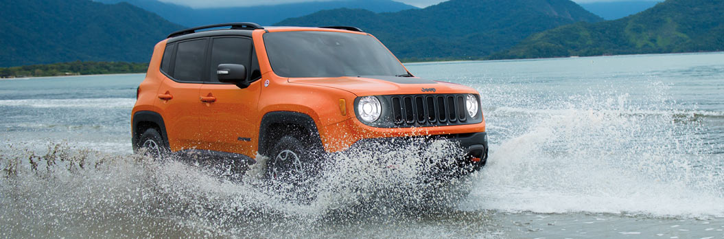 2016 Renegade 3.jpg