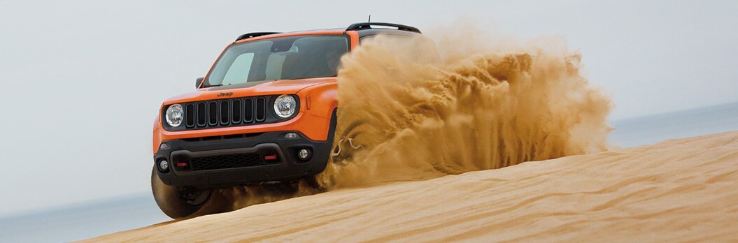 2016 Renegade 1.jpg