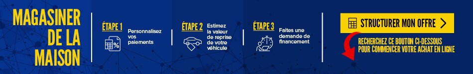 2020-03-VLP-DRS-Blue-FR-BN 2.jpg