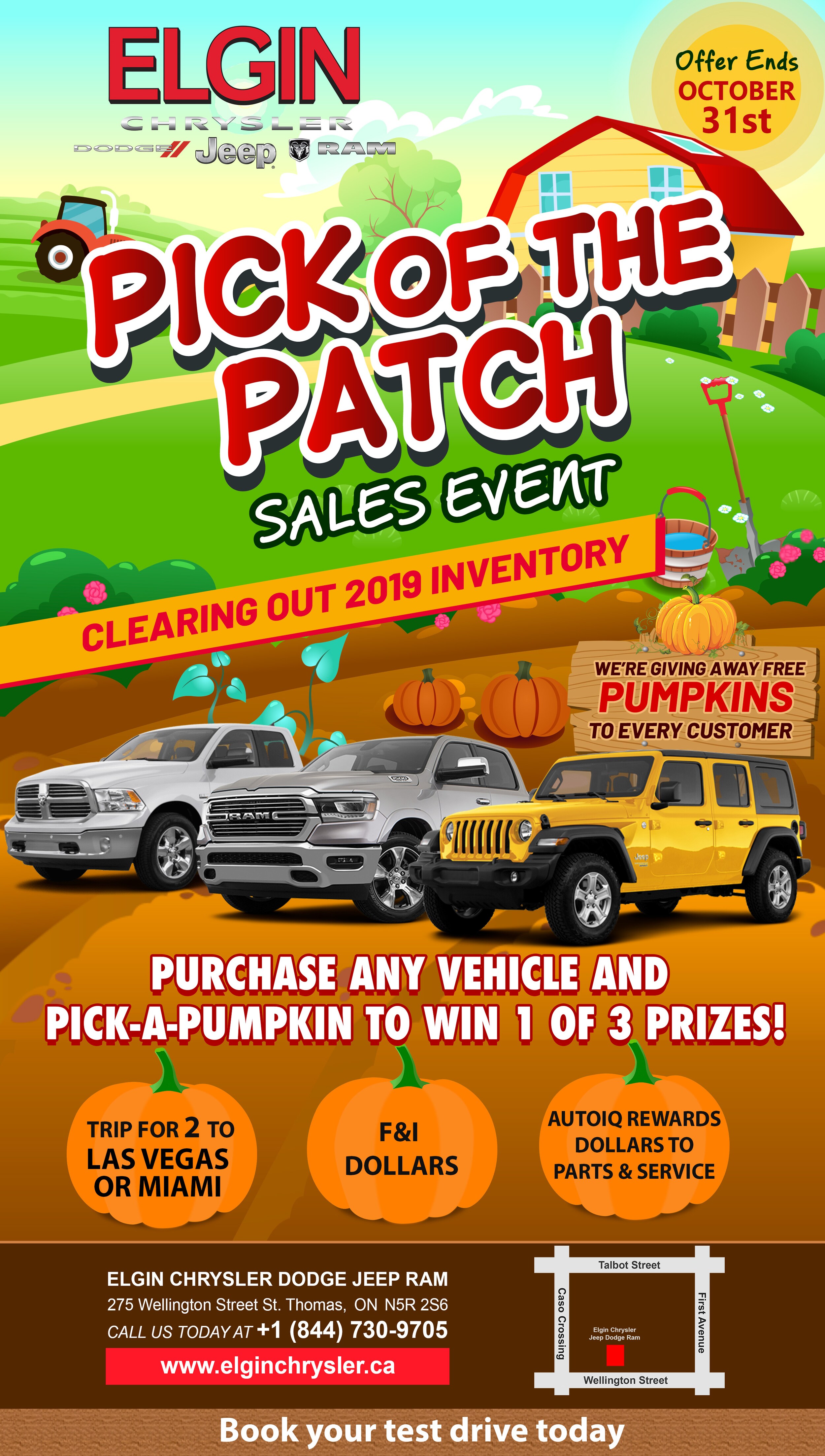 Pick-of-the-patch-elginn.jpg