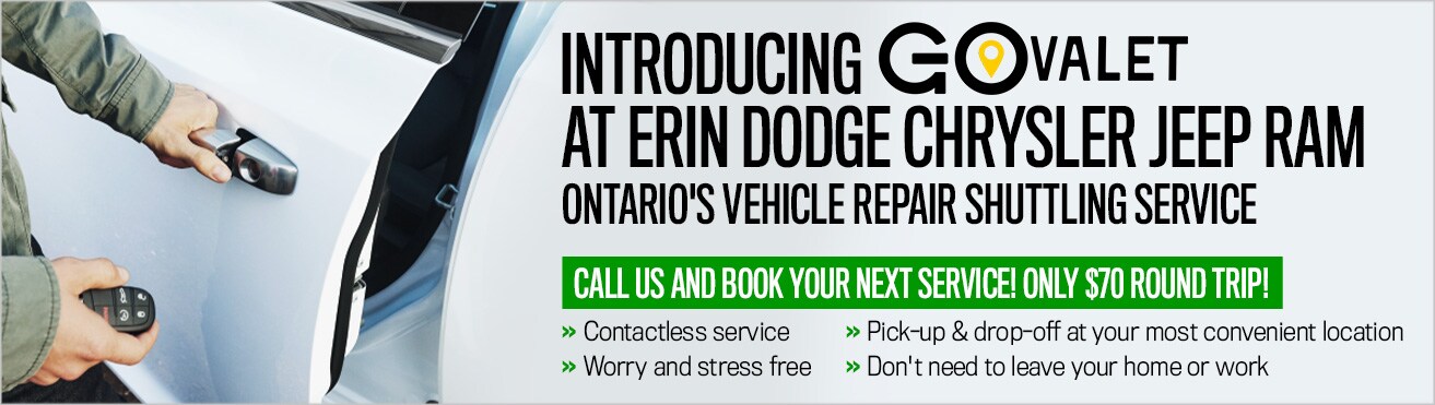 ErinDodge_GO_Valet_Banner_V2.jpeg