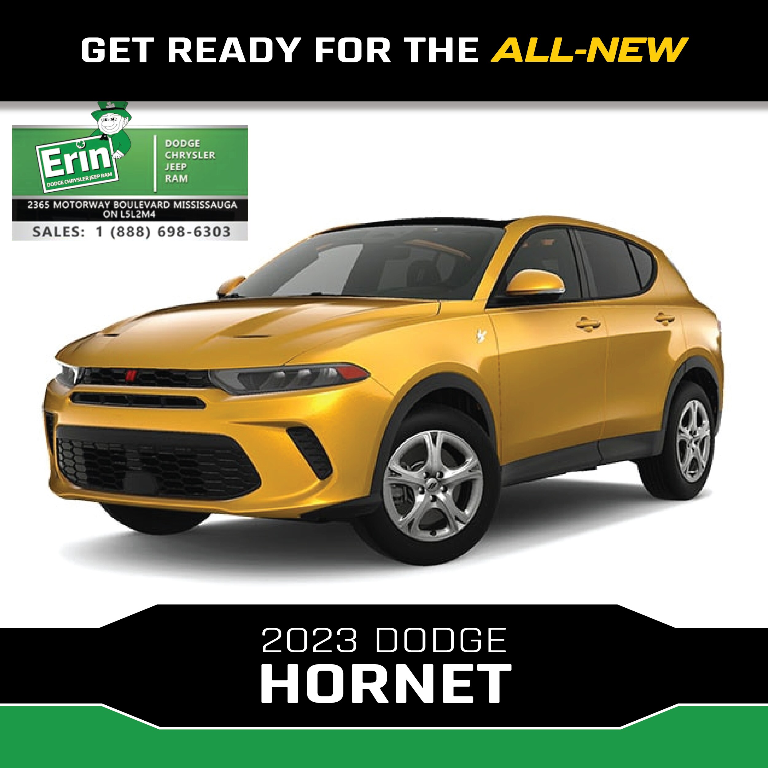 hornet1.png