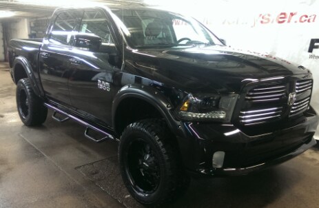 black_ram_2.png