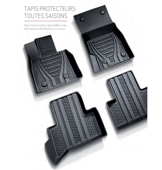 Tapis-d'hiver.jpg