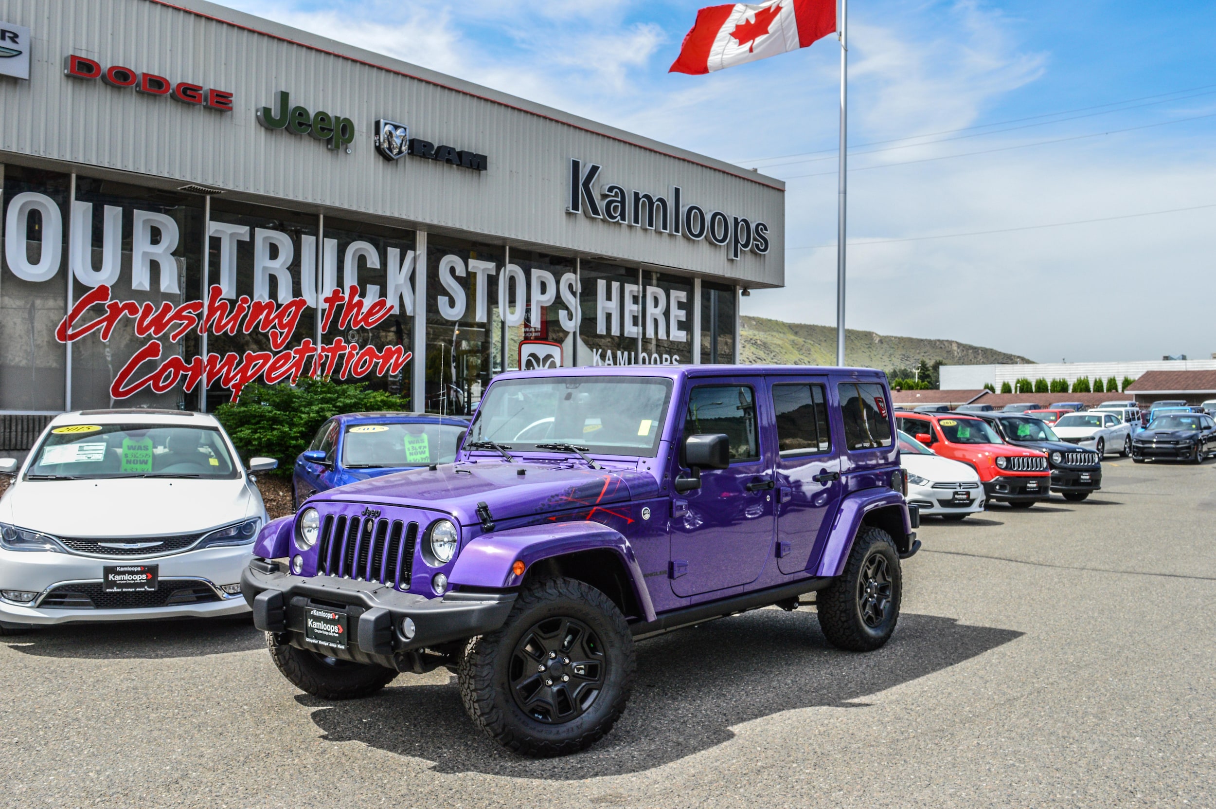 purple-1.JPG