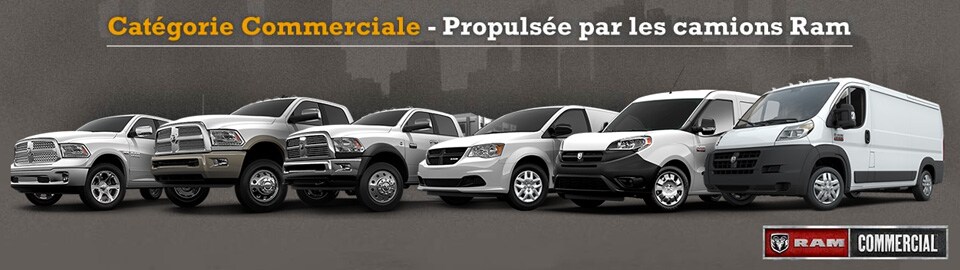 Catégorie Commerciale Ram