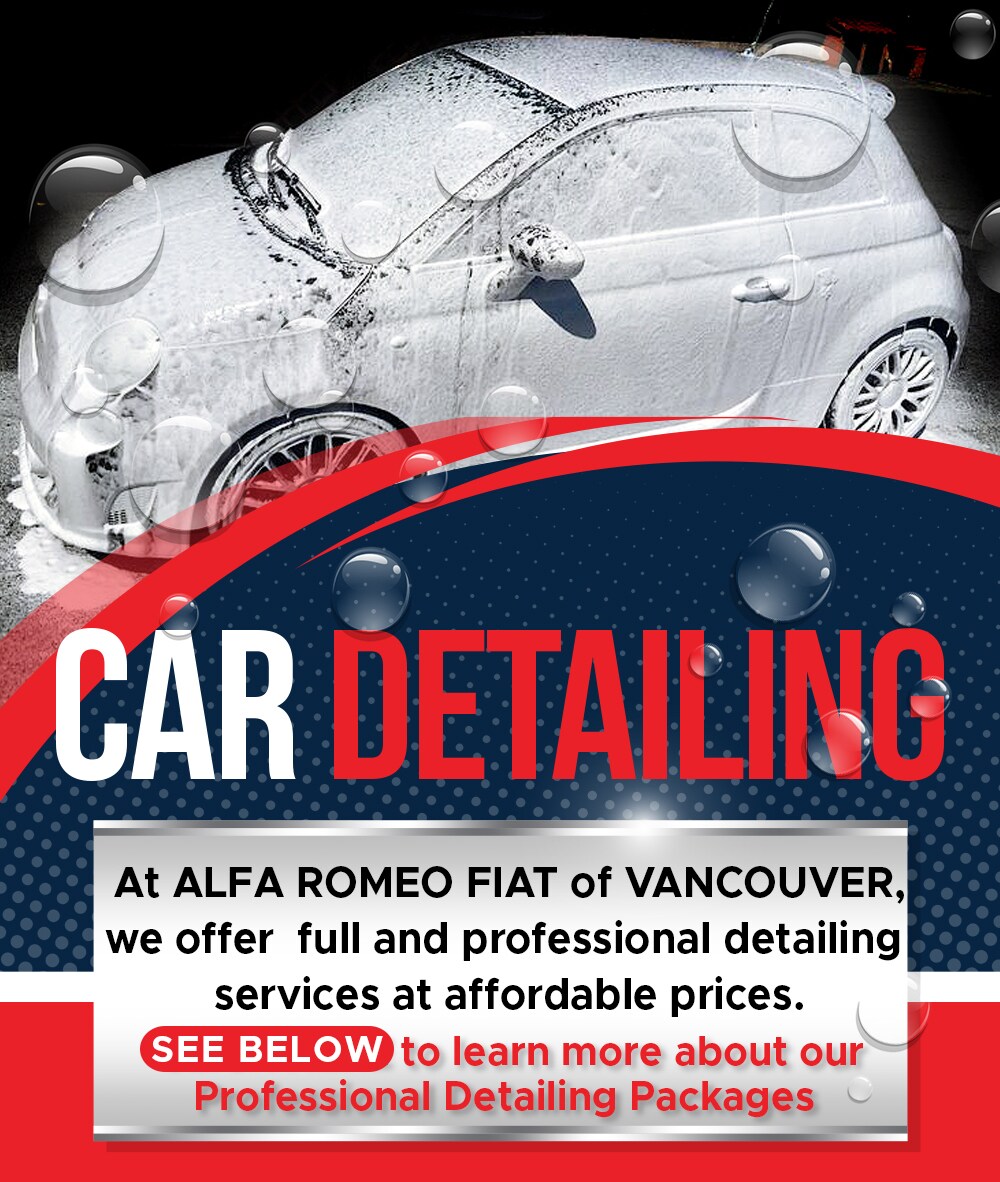 Fiat Car Detailing