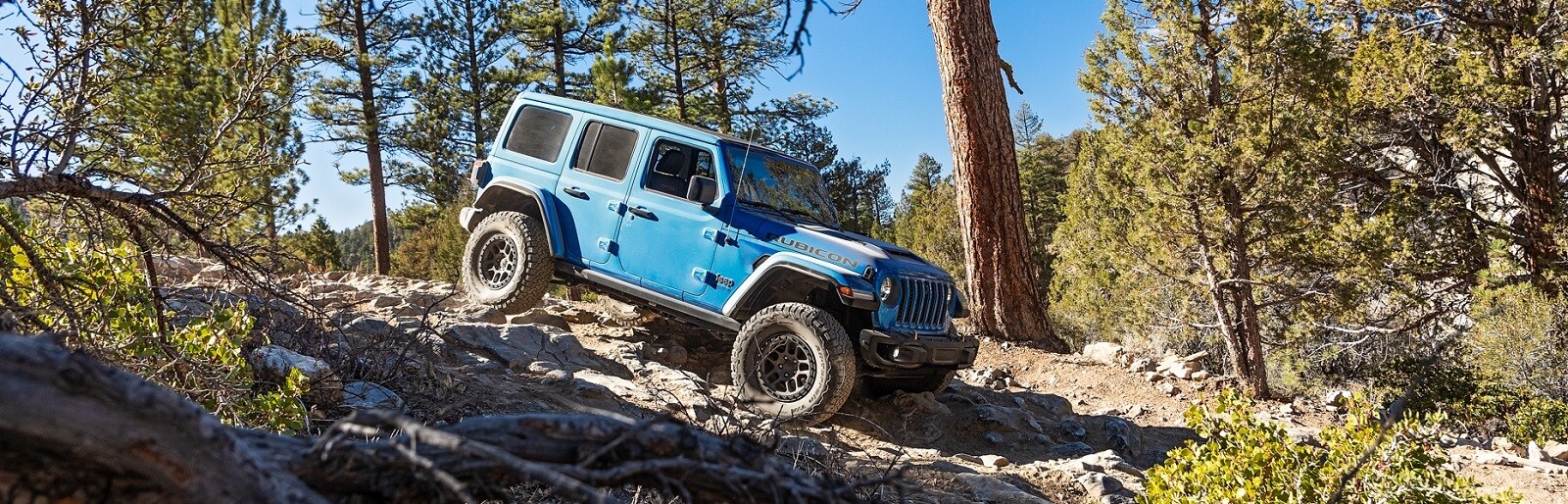 2022 Jeep Wrangler vs. 2022 Ford Bronco