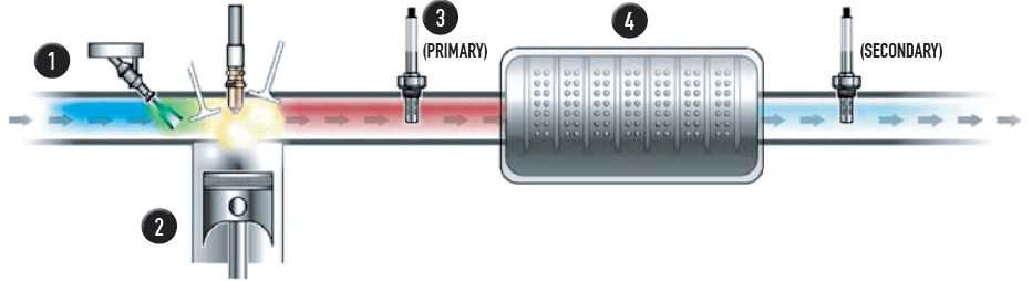 Terra_clean_terraclean_carbon_build_up_clean_gas_petrol_system.png