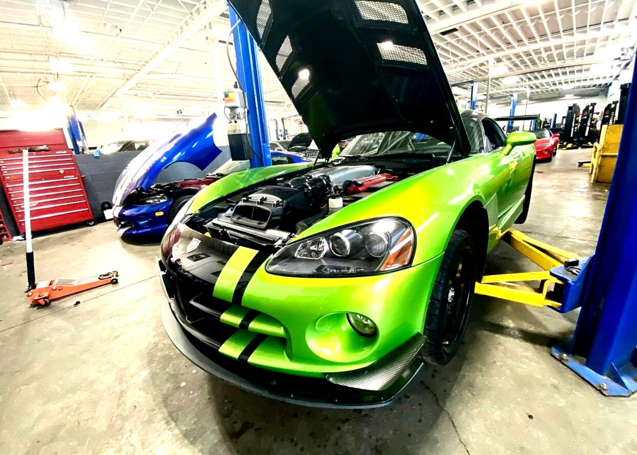 viper (7).png