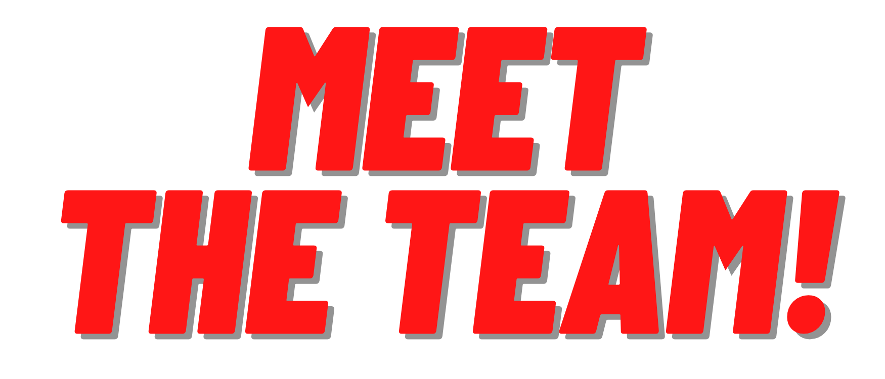 MEET THE TEAM!.png