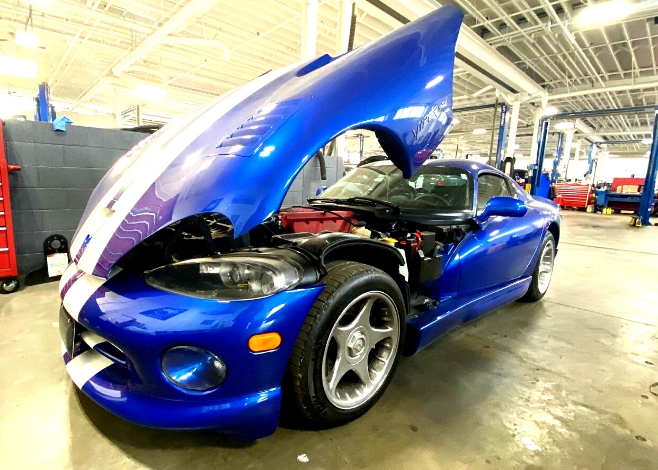 viper (9).png