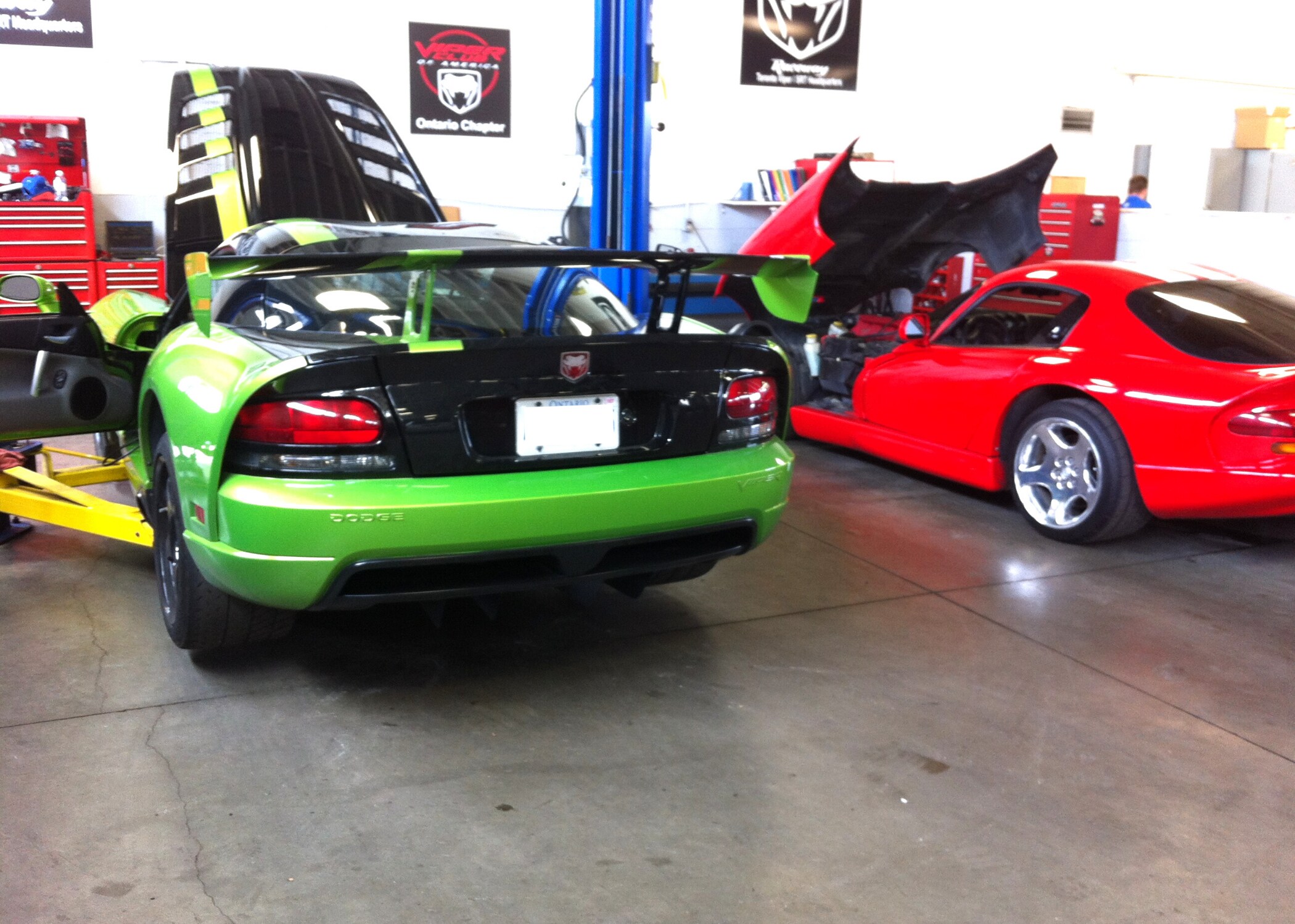 viper (2).png