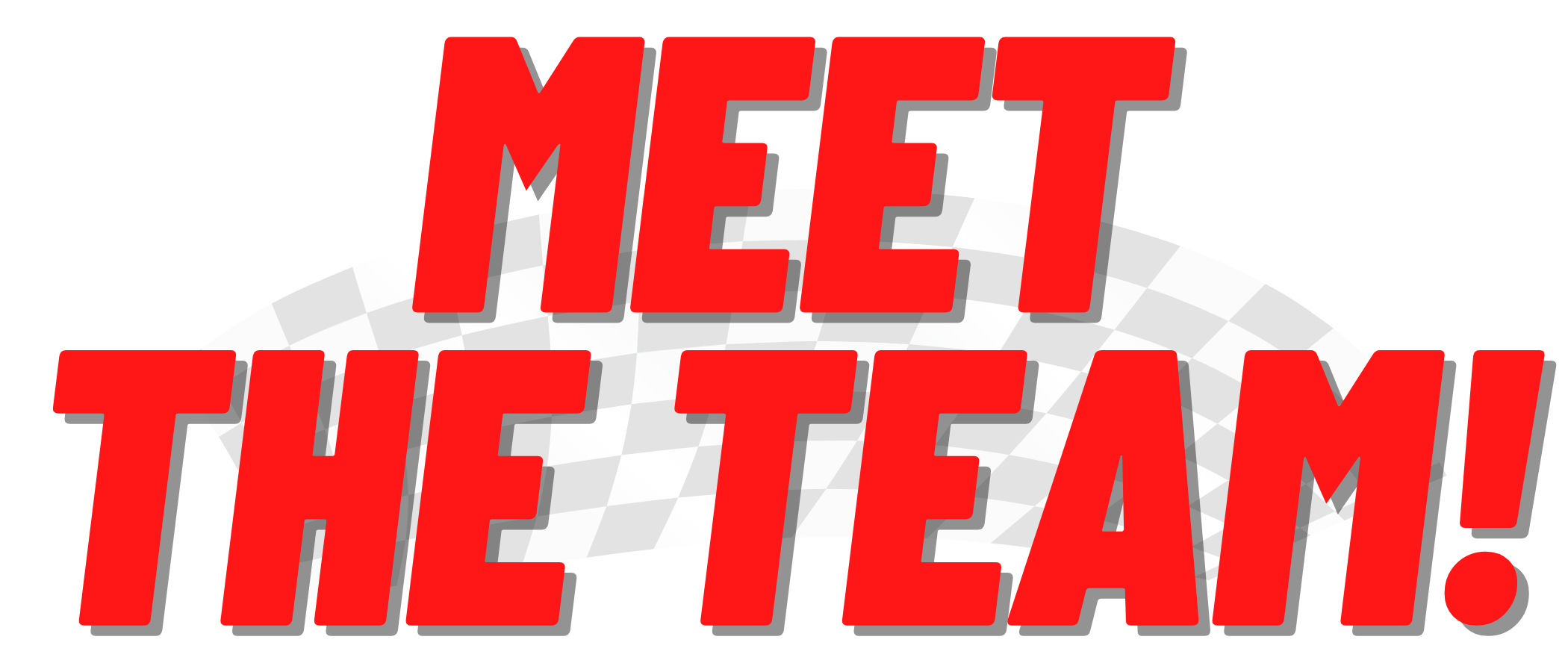 MEET THE TEAM! (1).png
