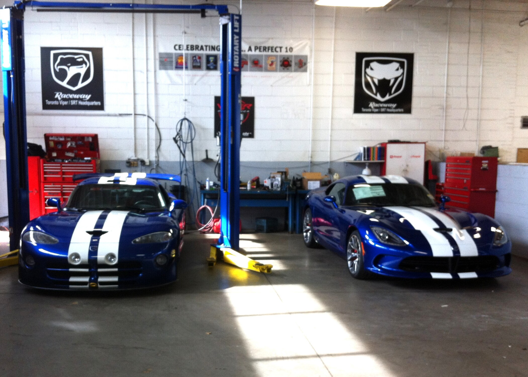 viper (3).png