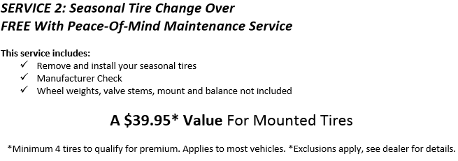 service 2.png