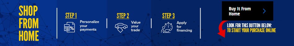 2020-03-VLP-DRS-Blue-EN-BN.png