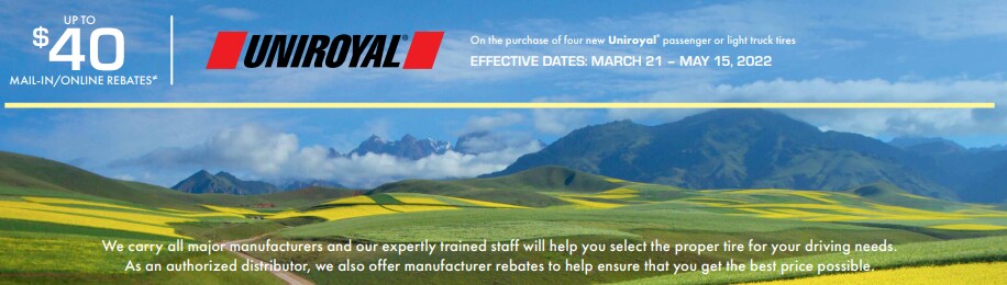 tire rebate 3.PNG