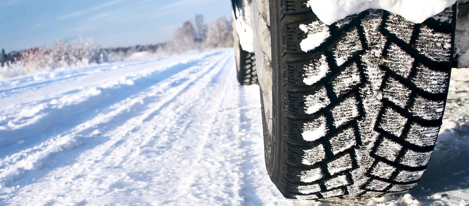 Winter Winter