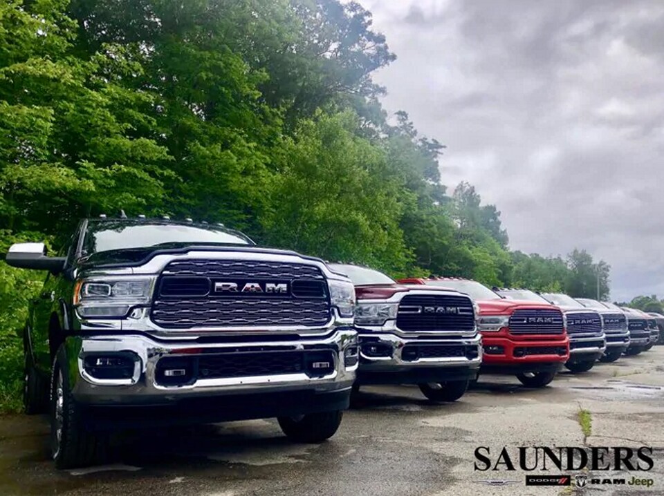 Line Of Rams