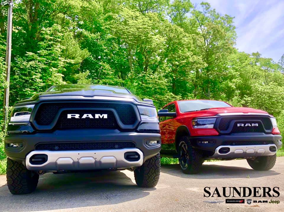 Grazing Rams.jpg
