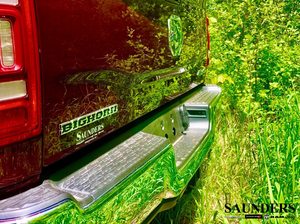 Where Machine Meets Nature